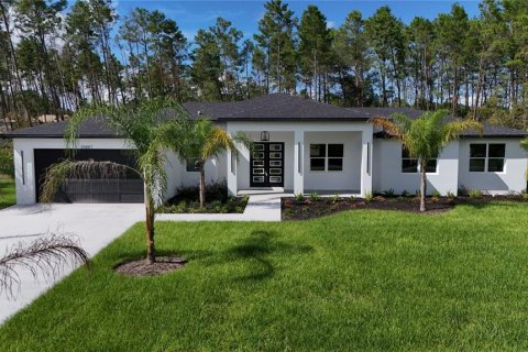 Villa ou maison à vendre à Eustis, Floride: 4 chambres, 247.12 m2 № 1916012 - photo 1