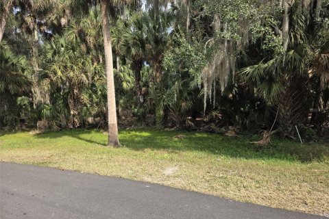 Terrain à vendre à Deltona, Floride № 2097108 - photo 2