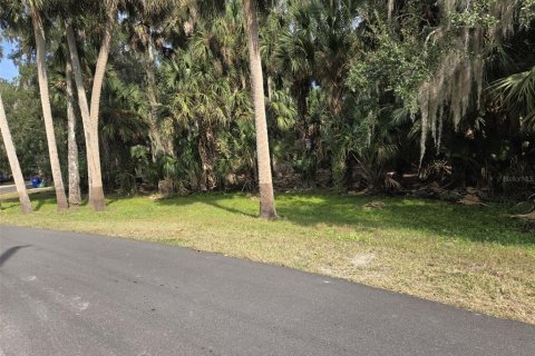 Terreno en Deltona, Florida № 2097108
