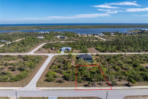 Land in Port Charlotte, Florida № 2159807
