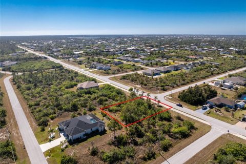 Land in Port Charlotte, Florida № 2159807 - photo 5