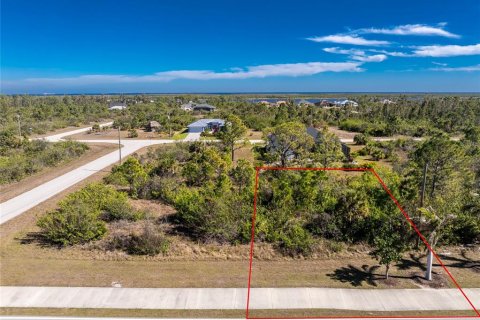 Land in Port Charlotte, Florida № 2159807 - photo 2