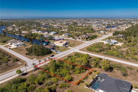 Land in Port Charlotte, Florida № 2159807 - photo 7