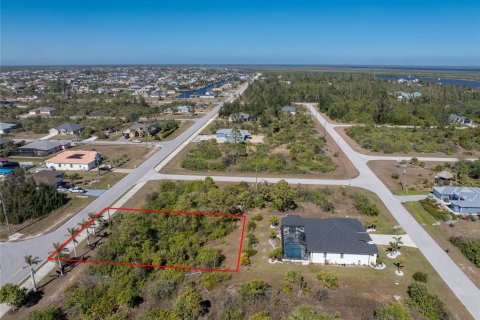 Land in Port Charlotte, Florida № 2159807 - photo 10