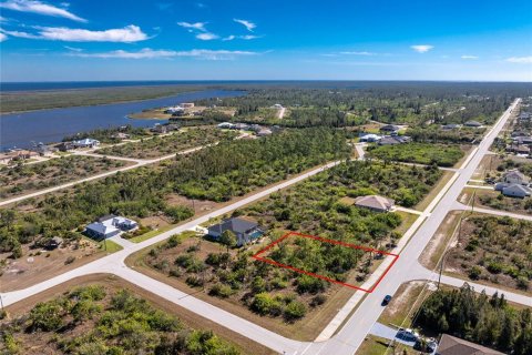 Land in Port Charlotte, Florida № 2159807 - photo 3