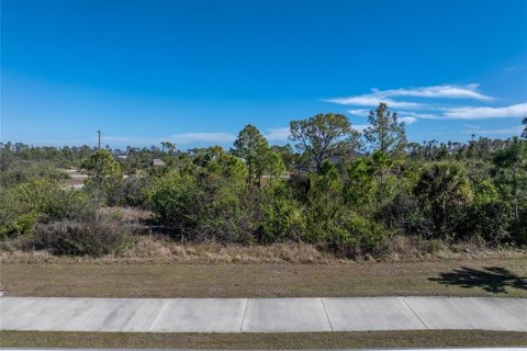 Land in Port Charlotte, Florida № 2159807 - photo 9