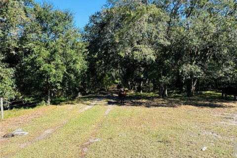 Terreno en venta en Sebring, Florida № 1439050 - foto 17