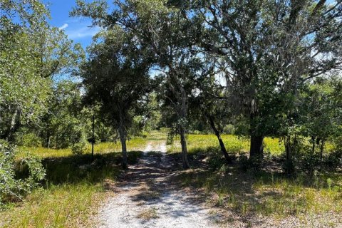 Terreno en venta en Sebring, Florida № 1439050 - foto 7