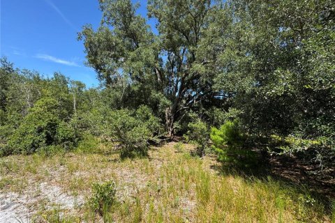 Terreno en venta en Sebring, Florida № 1439050 - foto 28