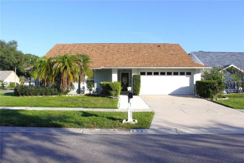House in Brandon, Florida 3 bedrooms, 164.72 sq.m. № 2236246