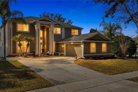 Дом в STONEYBROOK HILLS в Маунт-Дора, Флорида 10 комнат, 313.27м2 № 2103030