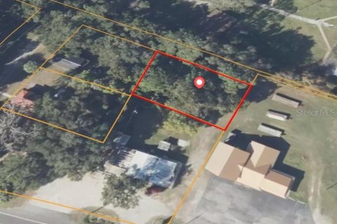 Land in Ocklawaha, Florida № 2165550