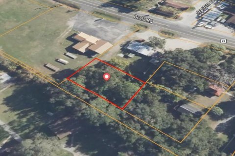 Land in Ocklawaha, Florida № 2165550 - photo 2
