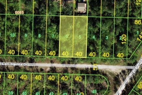 Land in Punta Gorda, Florida № 2160128