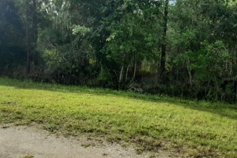 Land in Indian lake estates, Florida № 2370788 - photo 5