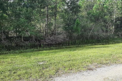 Land in Indian lake estates, Florida № 2370788 - photo 4
