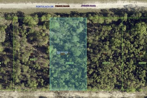 Land in Indian lake estates, Florida № 2370788 - photo 3