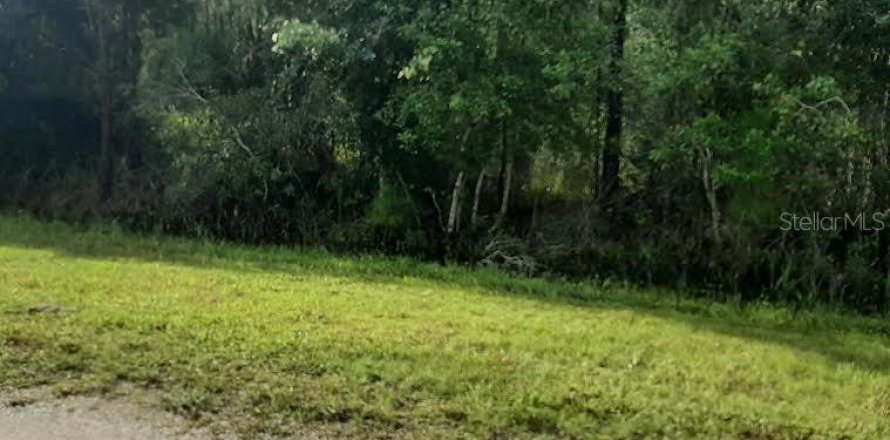 Land in Indian lake estates, Florida № 2370788