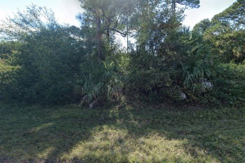Land in Punta Gorda, Florida № 2159219 - photo 3