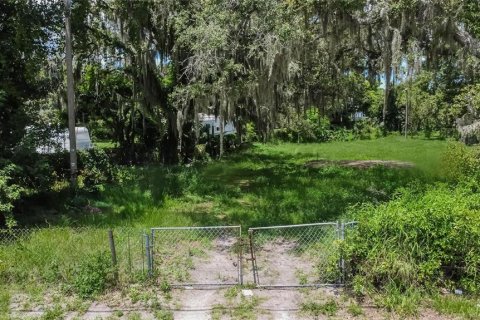 Terreno en venta en Riverview, Florida № 1255981 - foto 1
