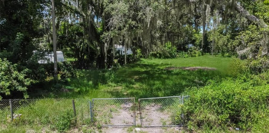 Terreno en Riverview, Florida № 1255981