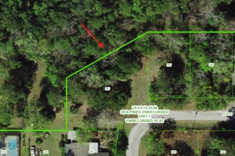 Land in Hudson, Florida № 2163807 - photo 6