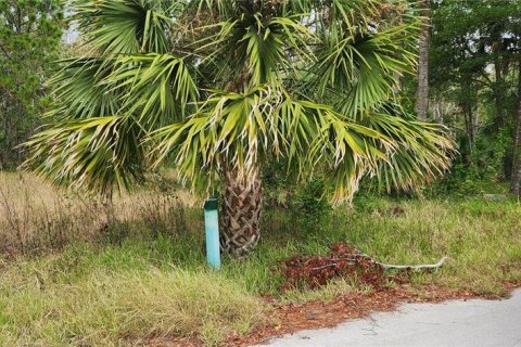 Land in Hudson, Florida № 2163807 - photo 8