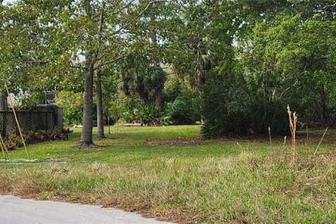 Land in Hudson, Florida № 2163807 - photo 2