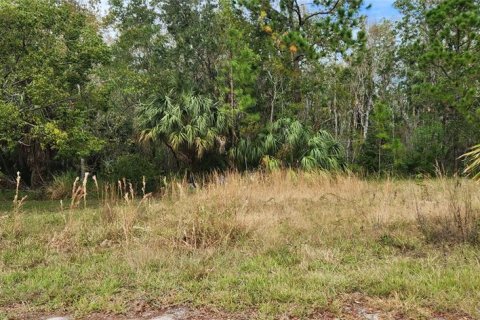 Land in Hudson, Florida № 2163807 - photo 7