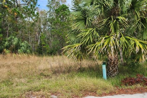 Land in Hudson, Florida № 2163807 - photo 4
