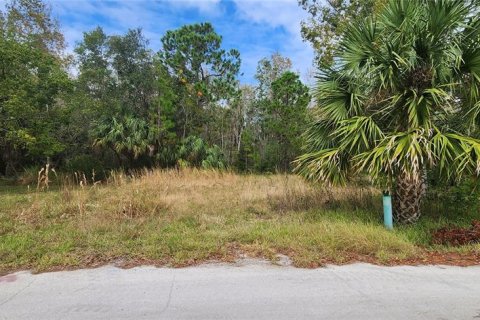 Land in Hudson, Florida № 2163807 - photo 3