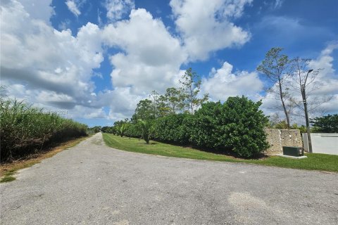 Купить земельный участок в Майами, Флорида № 1935105 - фото 1