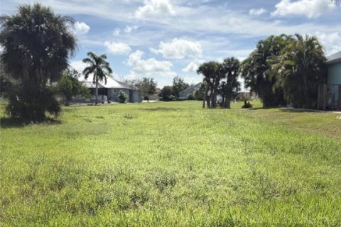 Land in Placida, Florida № 2358322
