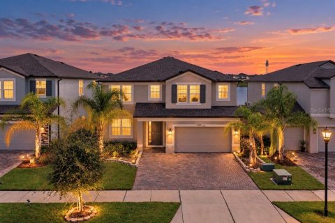 Villa ou maison à Wimauma, Floride 5 chambres, 353.03 m2 № 2409774