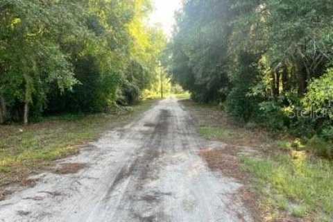 Terreno en venta en Dunnellon, Florida № 1306748 - foto 6