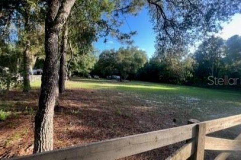 Terreno en venta en Dunnellon, Florida № 1306748 - foto 5