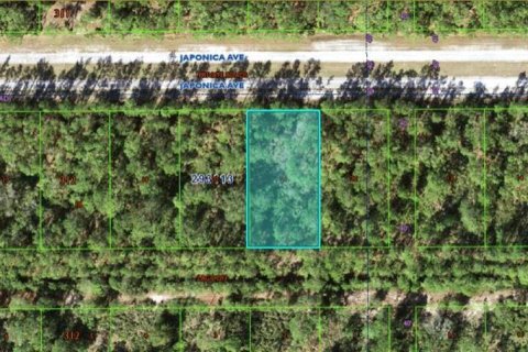 Terrain à Indian lake estates, Floride № 2204577