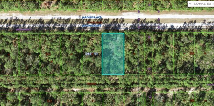 Terreno en Indian lake estates, Florida № 2204577
