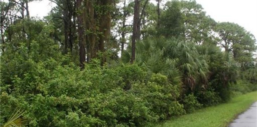 Land in Port Charlotte, Florida № 2228687
