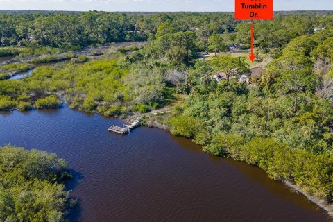 Villa ou maison à vendre à New Smyrna Beach, Floride: 3 chambres, 232.26 m2 № 1787741 - photo 3