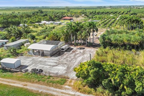 Купить земельный участок в Хомстед, Флорида № 2048043 - фото 3