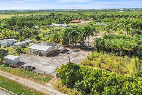 Купить земельный участок в Хомстед, Флорида № 2048043 - фото 29
