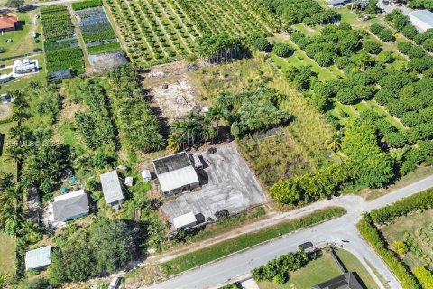 Купить земельный участок в Хомстед, Флорида № 2048043 - фото 5