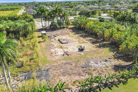 Купить земельный участок в Хомстед, Флорида № 2048043 - фото 20