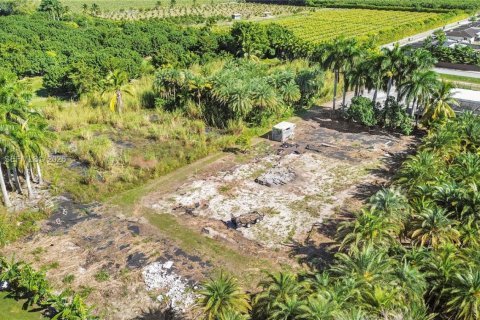 Купить земельный участок в Хомстед, Флорида № 2048043 - фото 11