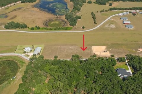 Land in Groveland, Florida № 1733901 - photo 2