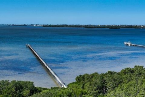Land in Bradenton, Florida № 2109162 - photo 3