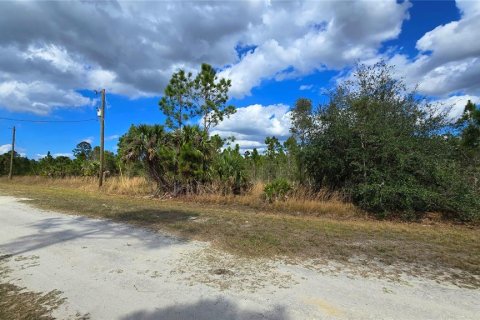 Terreno en venta en Punta Gorda, Florida № 1521628 - foto 5