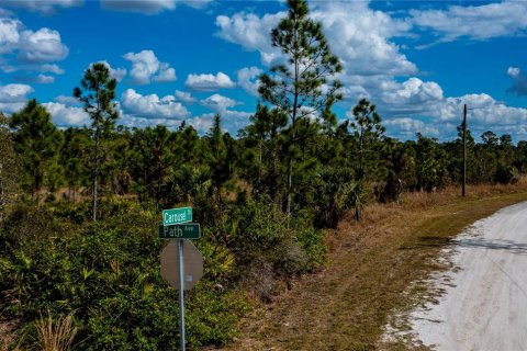 Terreno en venta en Punta Gorda, Florida № 1521628 - foto 17