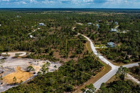 Terreno en venta en Punta Gorda, Florida № 1521628 - foto 16